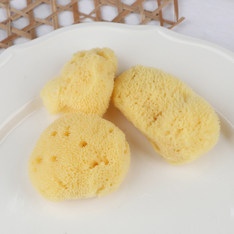 Special Texture Production Cle - Eco Sponge ulasan dan harga