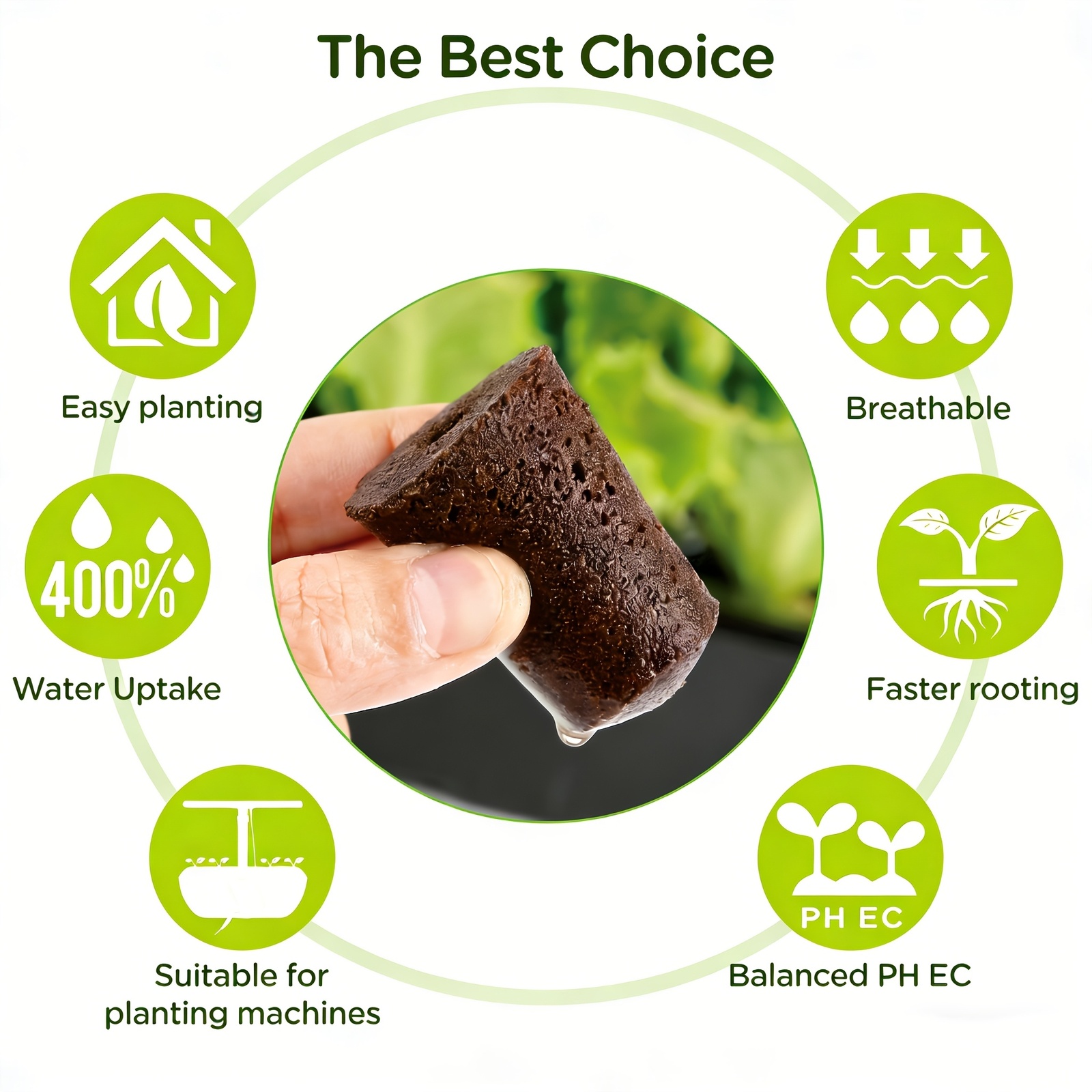 Garden Covering Grow Sponge St - Eco Sponge ulasan dan harga